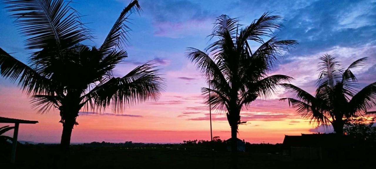 37 Sunset Village Bali Canggu Exterior foto